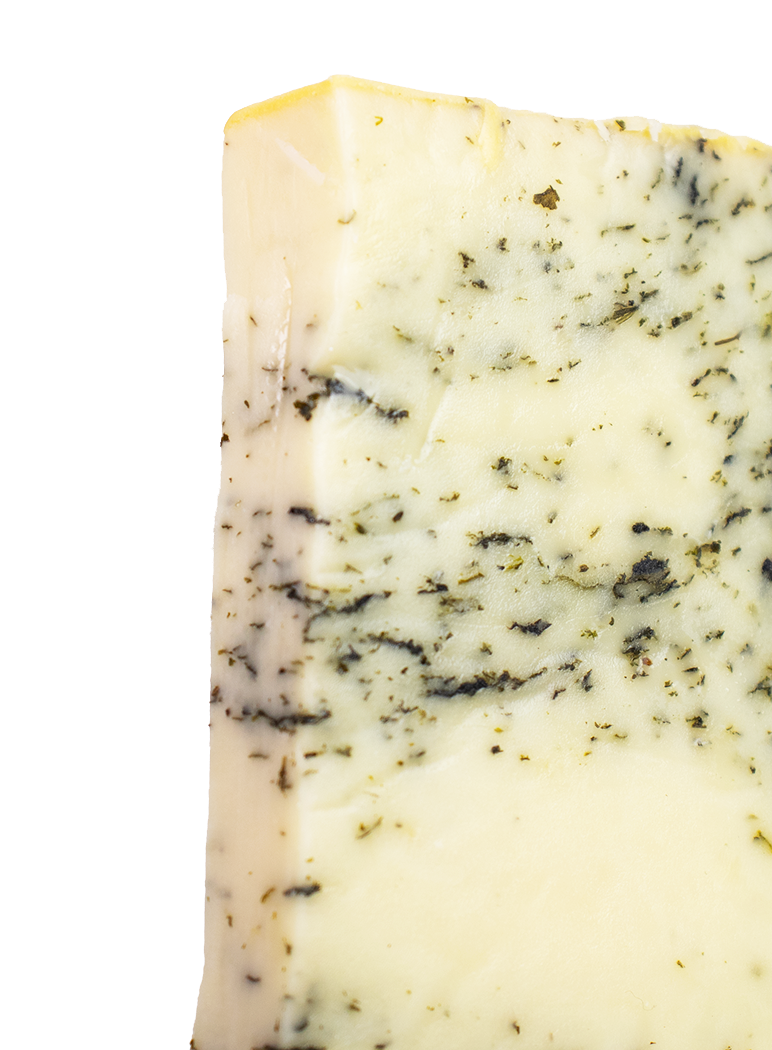 Gouda Cheese - Stinging Nettle