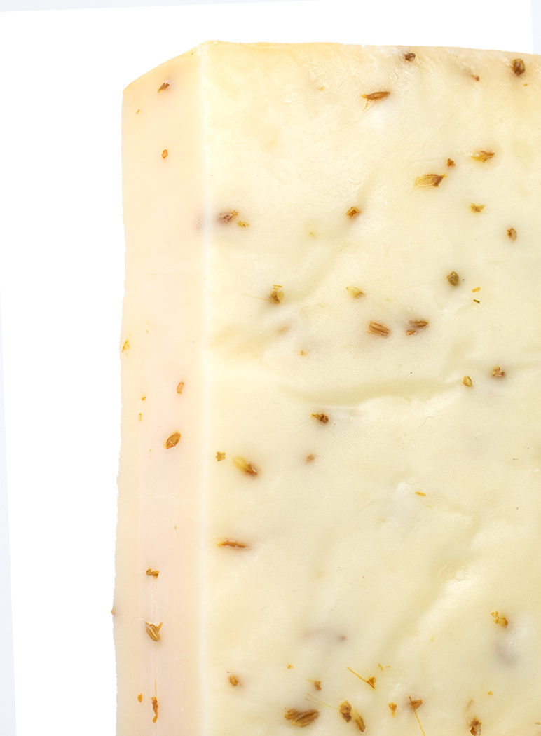 Gouda Cheese - Cumin